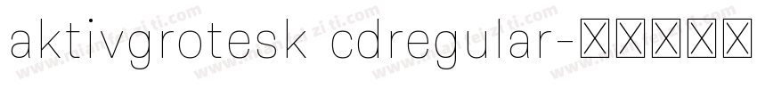 aktivgrotesk cdregular字体转换
